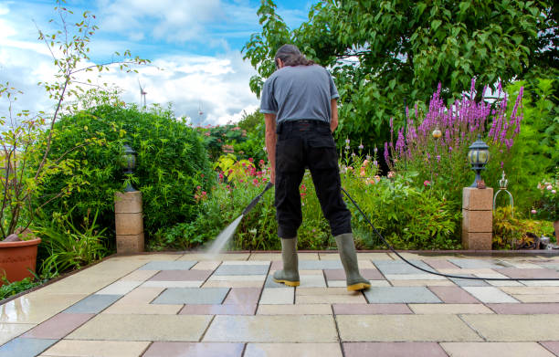 Best Animal Enclosure Cleaning  in Snyder, OK